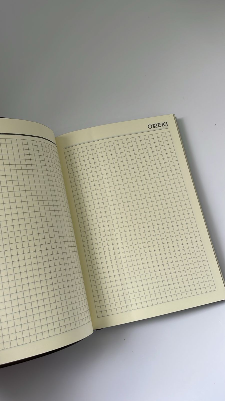 Ежедневник А5, ONEKI, ON-19201-25K АССОРТИ